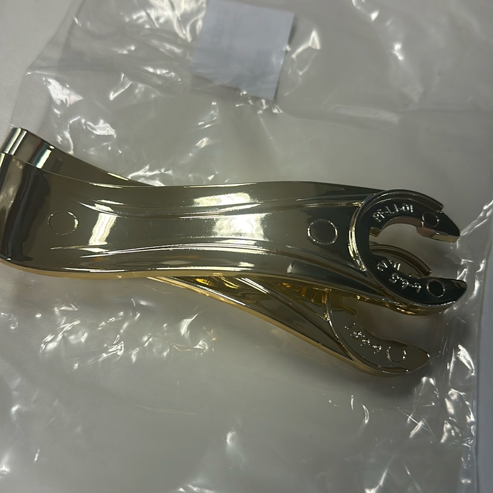 Pashion footwear gold Stelo